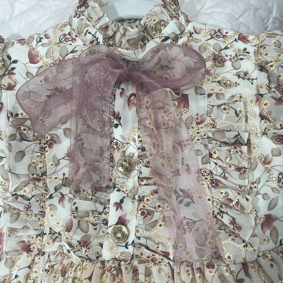 Girls designer dress. Ivory chiffon with floral design formal dress. Size 3-4T. - Picture 8 of 9